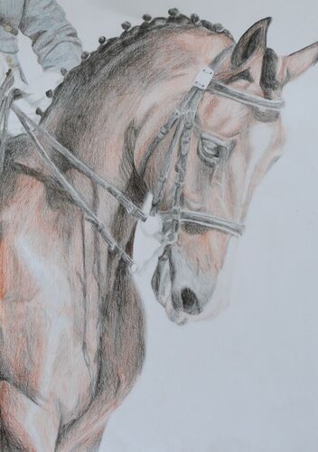 Young at Art - Marlene S. ( 21 ) aus Ried