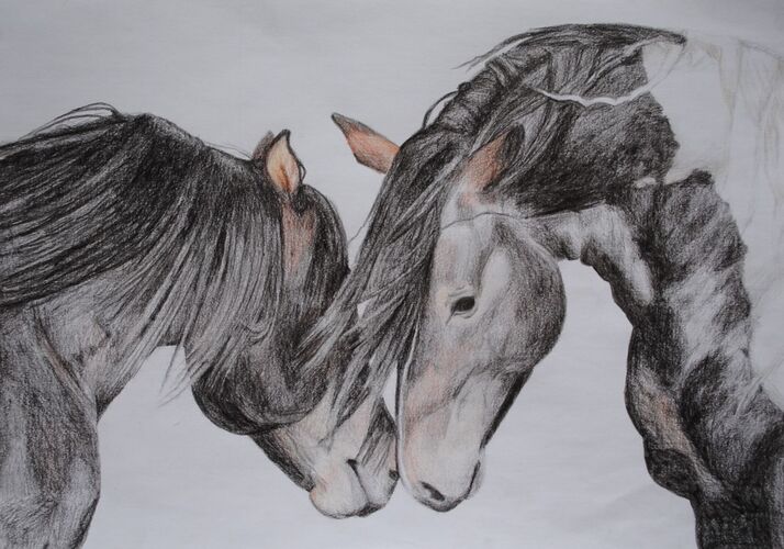 Young at Art - Marlene S. ( 21 ) aus Ried