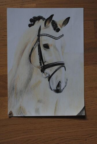 Young at Art - Marlene S. ( 21 ) aus Ried