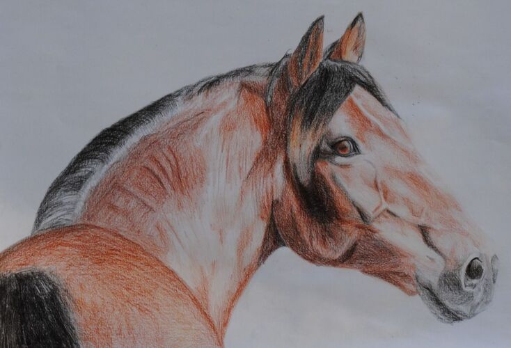 Young at Art - Marlene S. ( 21 ) aus Ried