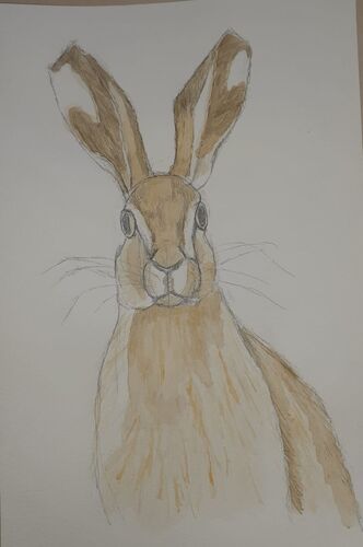 Young at Art - Charlotte L. ( 19 ) aus Gmunden