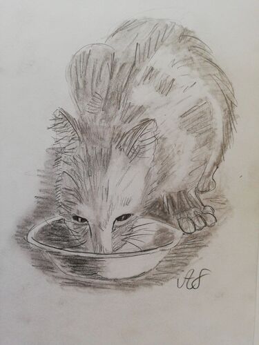 Young at Art - Anna-Sophie J. ( 20 ) aus Kirchdorf