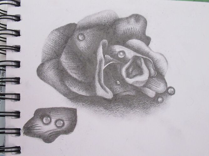 Young at Art - Emilia L. ( 19 ) aus Eferding