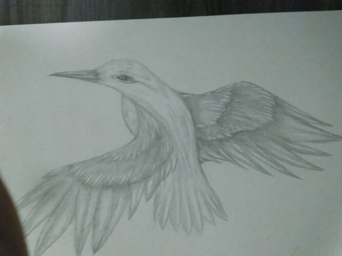 Young at Art - Daniela S. ( 19 ) aus Vöcklabruck