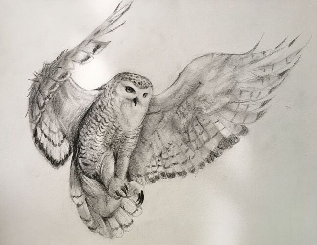 Young at Art - Marlene K. ( 16 ) aus Braunau