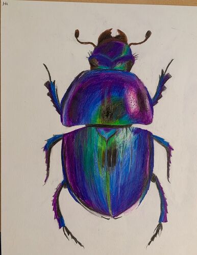 Young at Art - Marlene K. ( 16 ) aus Braunau