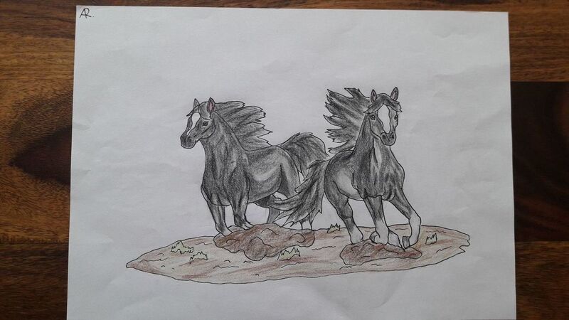 Young at Art - Amelie R. ( 17 ) aus Wels