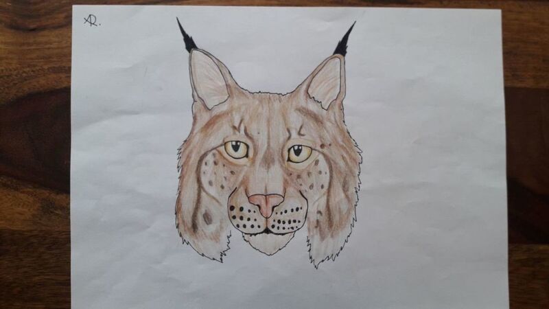 Young at Art - Amelie R. ( 17 ) aus Wels