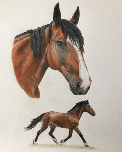 Young at Art - Melanie H. ( 25 ) aus Schärding