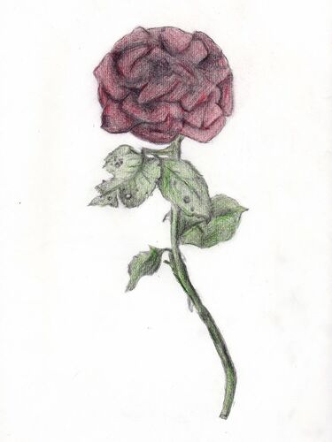 Young at Art - Tobias P. ( 19 ) aus Vöcklabruck