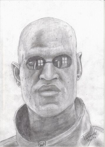 Young at Art - Moritz P. ( 21 ) aus Vöcklabruck