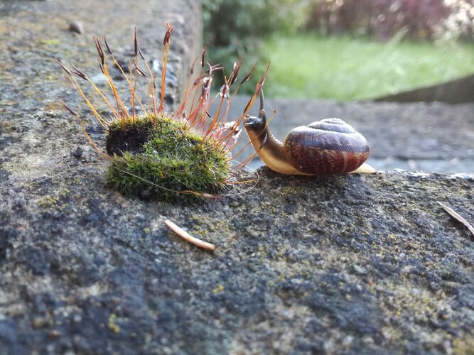 Young at Art - Elena C. ( 21 ) aus Schärding