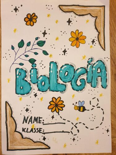 Young at Art - Hannah R. ( 17 ) aus Grieskirchen