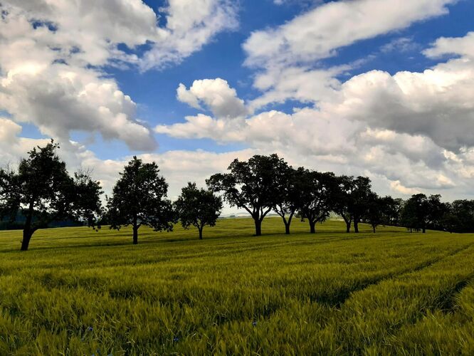 Young at Art - Valentin R. ( 18 ) aus Freistadt