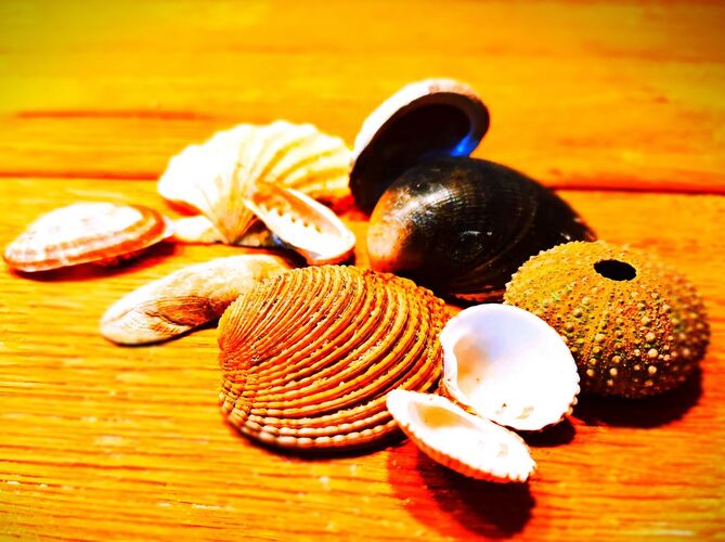 Young at Art - Paul S. ( 16 ) aus Vöcklabruck