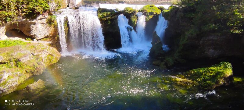 Young at Art - Paul S. ( 16 ) aus Vöcklabruck