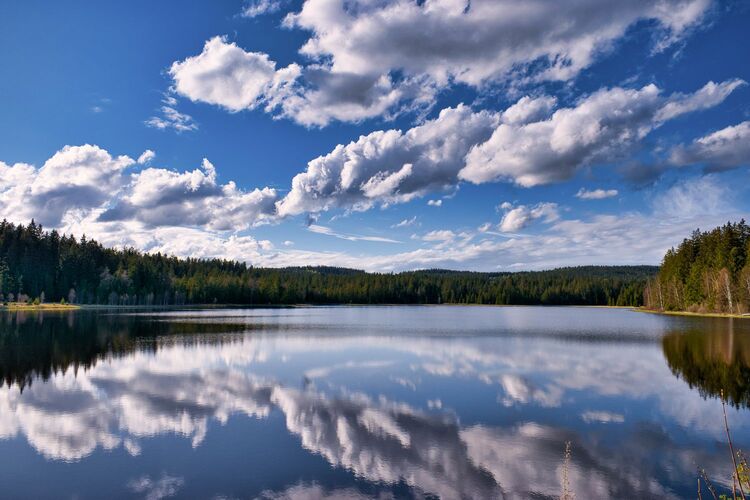 Young at Art - Adrian G. ( 24 ) aus Freistadt