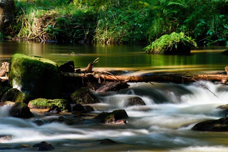 Young at Art - Adrian G. ( 24 ) aus Freistadt