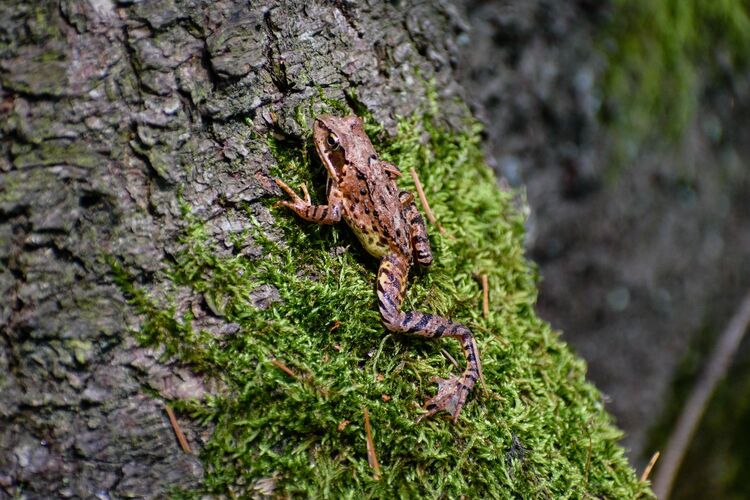 Young at Art - Adrian G. ( 24 ) aus Freistadt