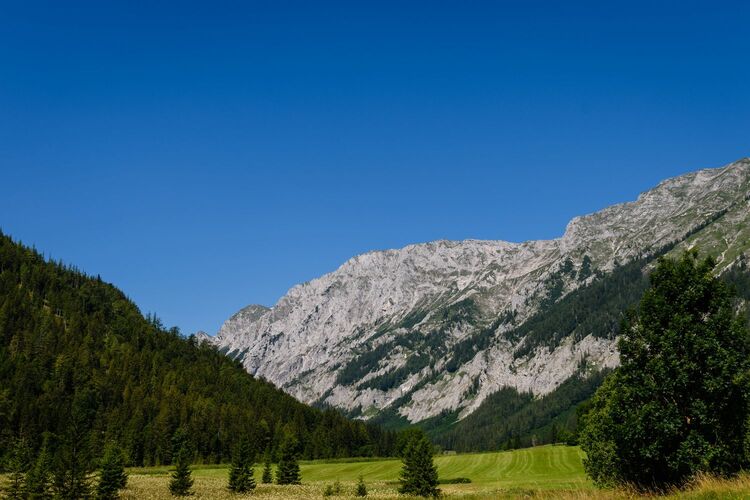 Young at Art - Adrian G. ( 24 ) aus Freistadt