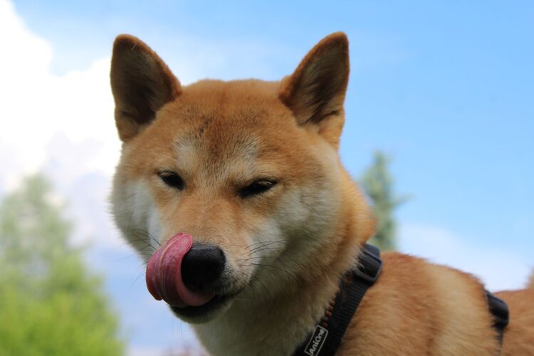 Young at Art - Leonie S. ( 22 ) aus Schärding