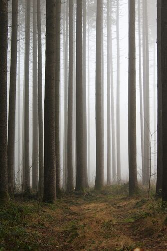 Young at Art - Leonie S. ( 22 ) aus Schärding