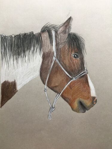 Young at Art - Noemi G. ( 16 ) aus Schärding