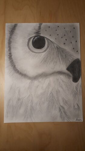 Young at Art - Jana K. ( 20 ) aus Linz