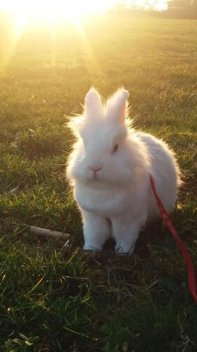 Young at Art - Verena F. ( 19 ) aus Perg