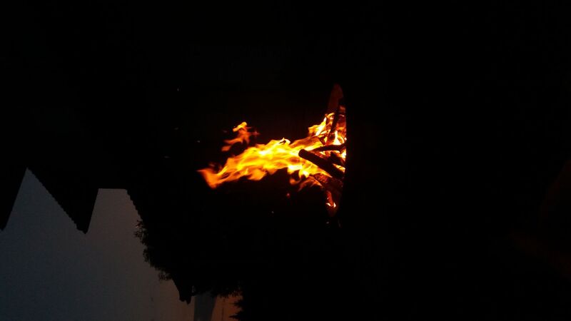 Young at Art - Verena F. ( 19 ) aus Perg