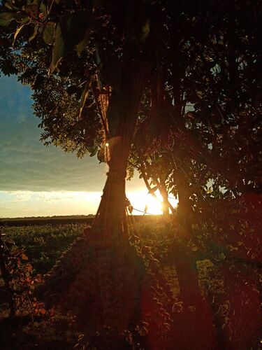 Young at Art - Verena F. ( 19 ) aus Perg