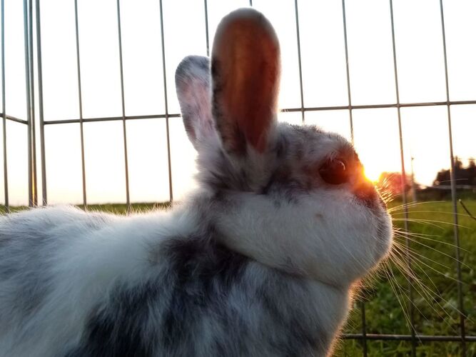 Young at Art - Marion F. ( 16 ) aus Perg