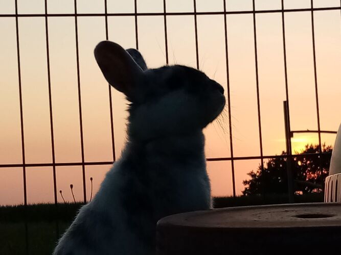 Young at Art - Marion F. ( 16 ) aus Perg