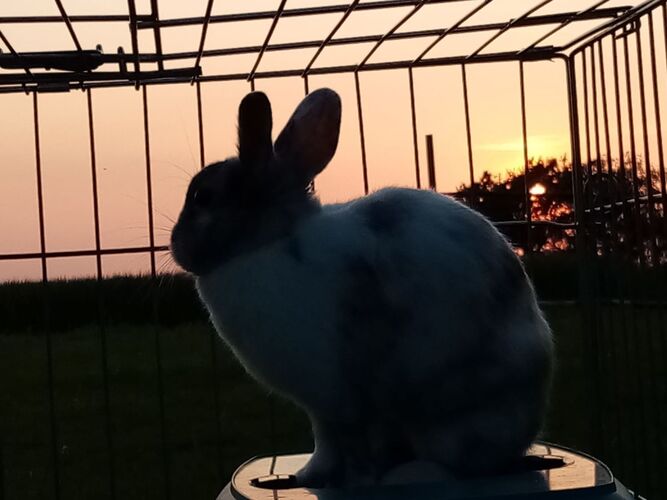 Young at Art - Marion  F. ( 16 ) aus Perg