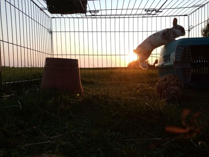 Young at Art - Marion F. ( 16 ) aus Perg