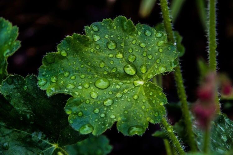 Young at Art - Florian P. ( 22 ) aus Kirchdorf