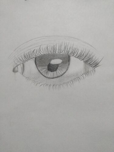 Young at Art - Lara K. ( 16 ) aus Rohrbach