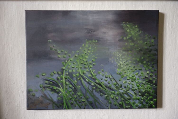 Young at Art - David H. ( 22 ) aus Grieskirchen