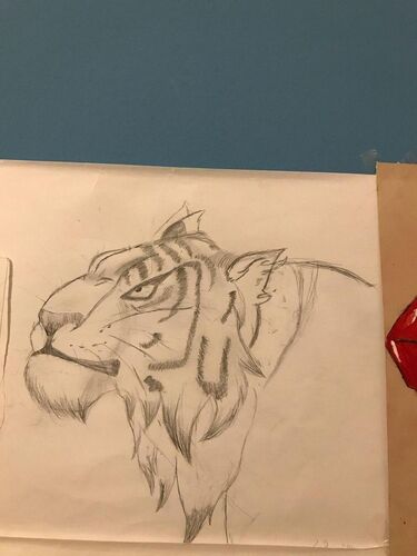 Young at Art - Johanna P. ( 20 ) aus Wels