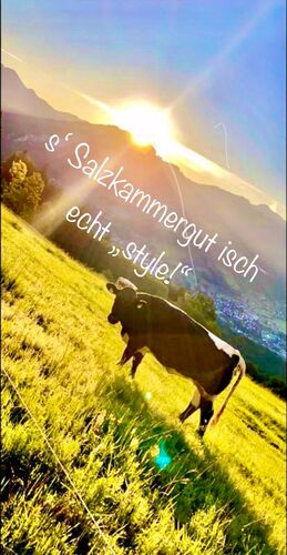 Young at Art - Jeremy - Louis Z. ( 20 ) aus Gmunden