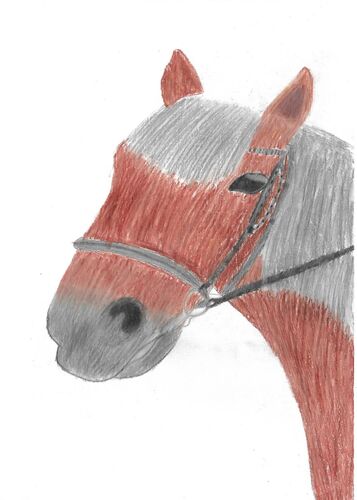 Young at Art - Emma R. ( 17 ) aus Linz