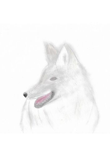 Young at Art - Emma R. ( 17 ) aus Linz