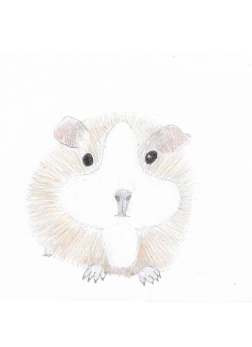 Young at Art - Emma R. ( 17 ) aus Linz