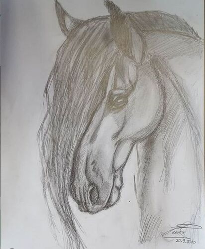 Young at Art - Laura S. ( 21 ) aus Gmunden