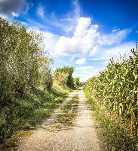 Young at Art - Sara P. ( 20 ) aus Linz-Land