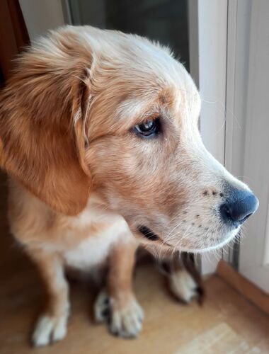 Young at Art - Sara P. ( 20 ) aus Linz-Land