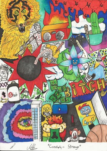 Young at Art - Niklas K. ( 18 ) aus Linz