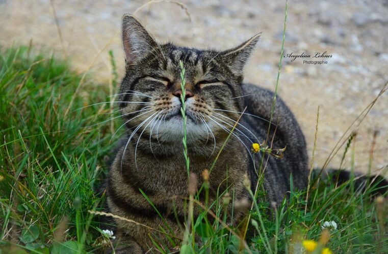 Young at Art - Angelina  L. ( 19 ) aus Urfahr-Umgebung