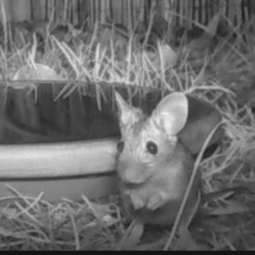 Young at Art - Simon P. ( 20 ) aus Linz-Land