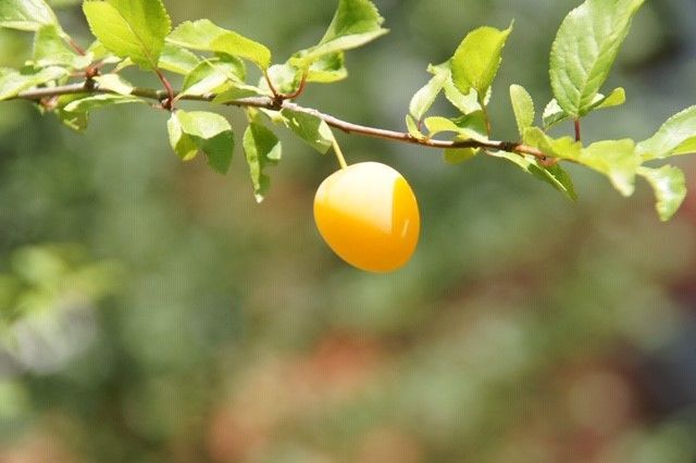 Young at Art - Lara K. ( 19 ) aus Grieskirchen